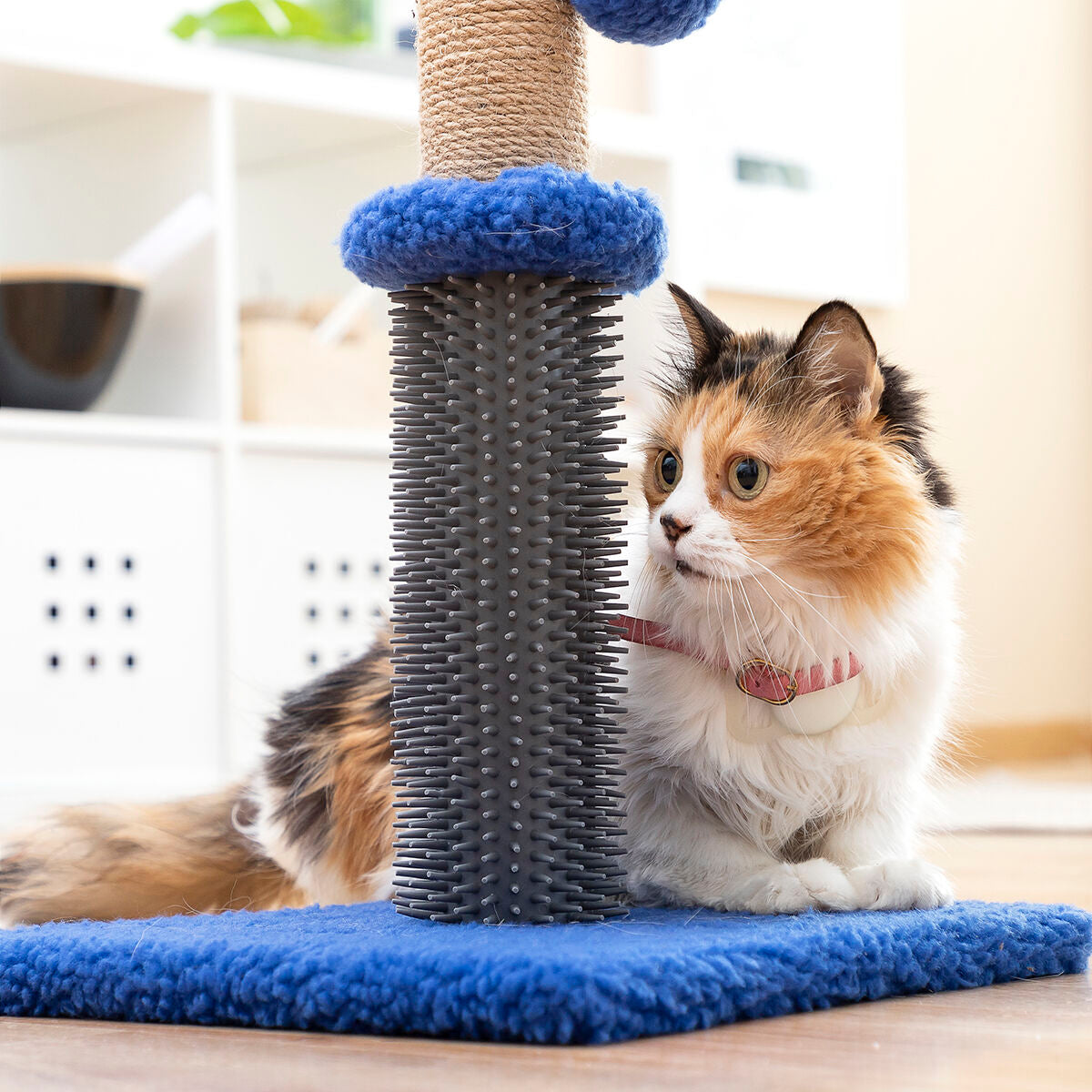 Calming Donut Bed for Dogs & Cats – 60 cm